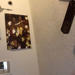 Meet your Posher, Monique